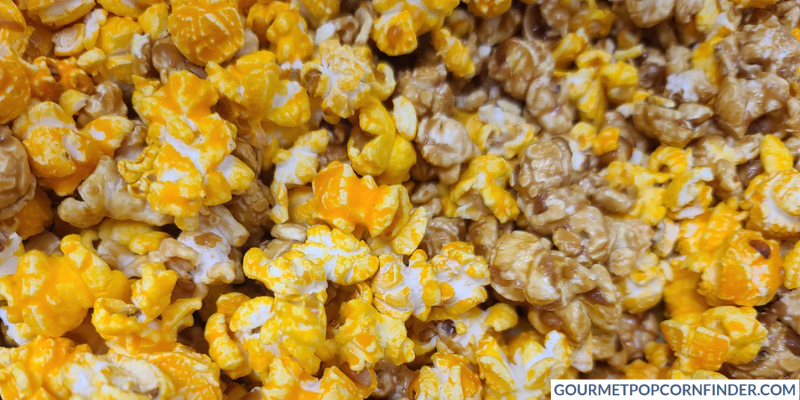 Understanding the Basics of Gourmet Popcorn